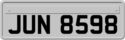 JUN8598