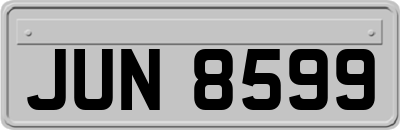 JUN8599