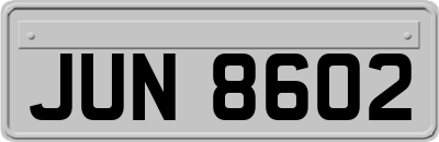 JUN8602