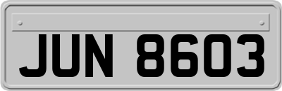 JUN8603