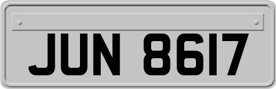 JUN8617