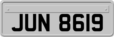 JUN8619