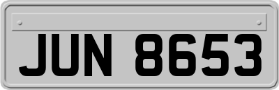 JUN8653