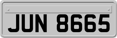 JUN8665