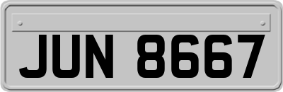 JUN8667