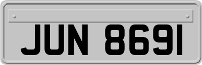 JUN8691