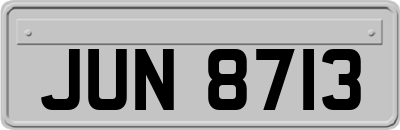 JUN8713