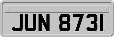 JUN8731