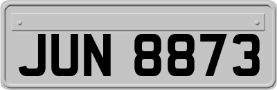 JUN8873