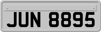 JUN8895