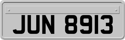 JUN8913