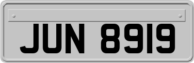 JUN8919