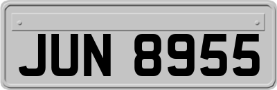 JUN8955