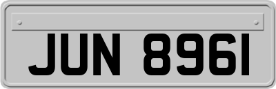 JUN8961