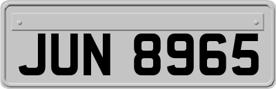 JUN8965