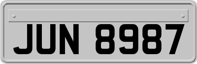 JUN8987