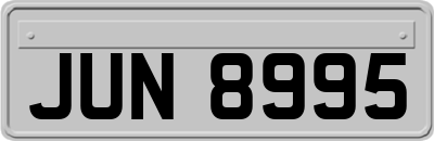 JUN8995