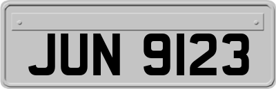 JUN9123