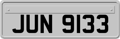 JUN9133