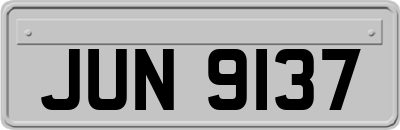 JUN9137