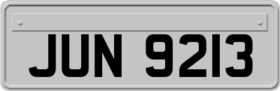 JUN9213