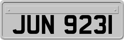 JUN9231