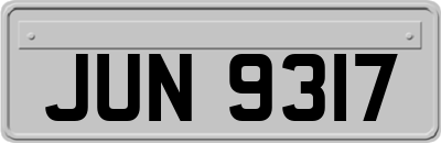 JUN9317