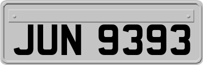 JUN9393