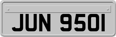 JUN9501