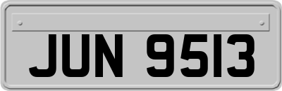 JUN9513