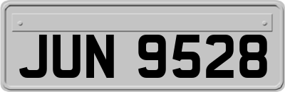 JUN9528