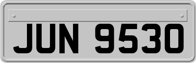 JUN9530