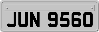 JUN9560