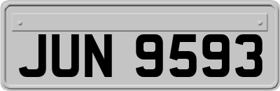 JUN9593