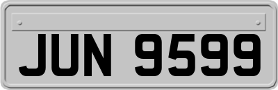 JUN9599