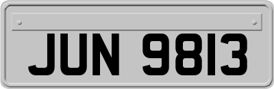 JUN9813