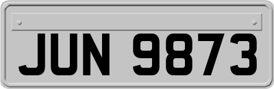 JUN9873