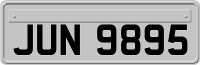 JUN9895