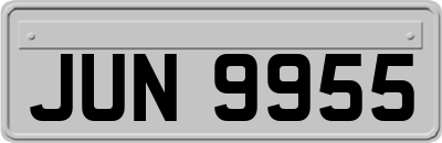 JUN9955