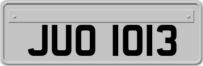 JUO1013