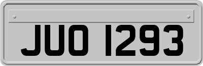 JUO1293