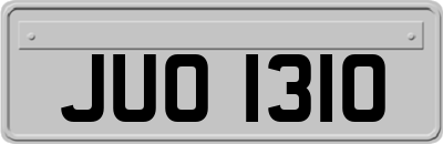 JUO1310