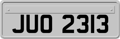JUO2313
