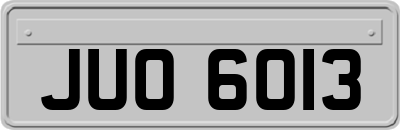 JUO6013