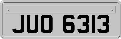 JUO6313