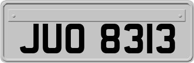 JUO8313