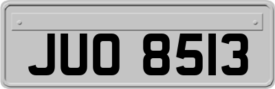 JUO8513