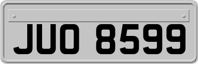 JUO8599