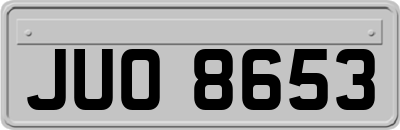 JUO8653