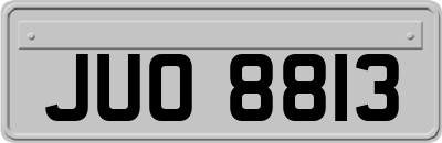 JUO8813